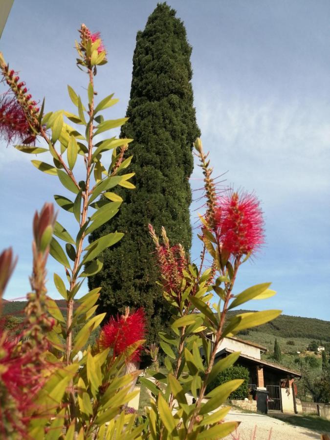 فيلا Borgo Buciardella Baschi المظهر الخارجي الصورة