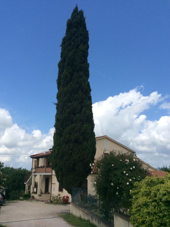 فيلا Borgo Buciardella Baschi المظهر الخارجي الصورة