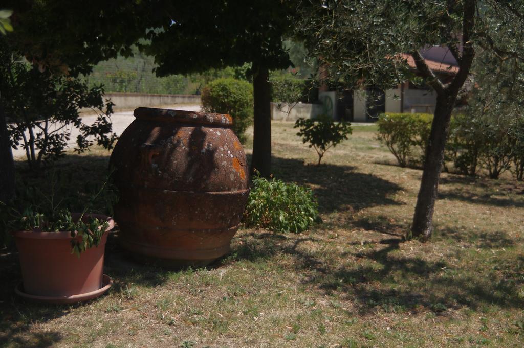 فيلا Borgo Buciardella Baschi المظهر الخارجي الصورة