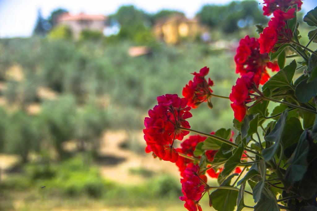 فيلا Borgo Buciardella Baschi المظهر الخارجي الصورة